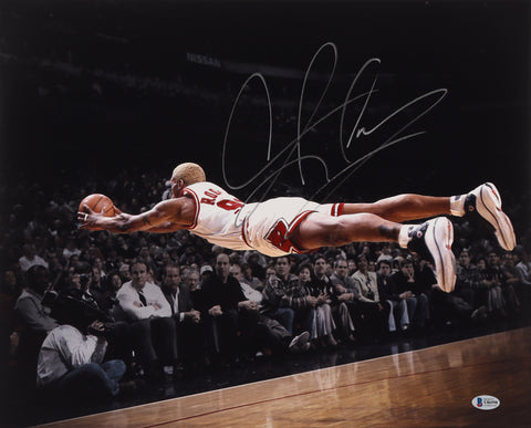 Dennis Rodman Signed Bulls 16x20 Photo